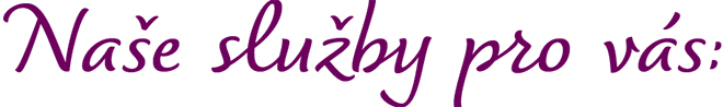 Služby-ikona